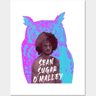 sugar sean o'malley art Posters and Art